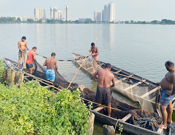 Fishermen in the East Kolkata Wetlands
