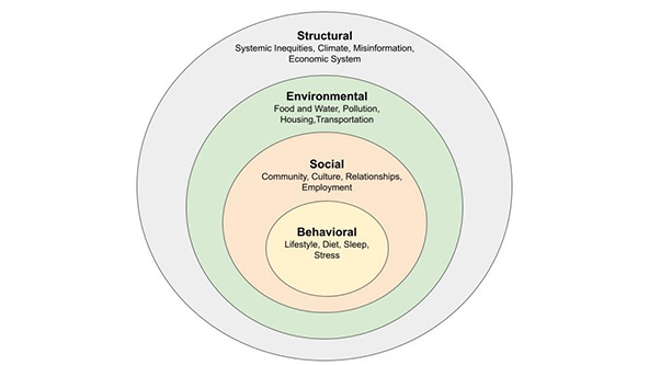 The Systemic Drivers Of Health The Systemic Drivers Of Health