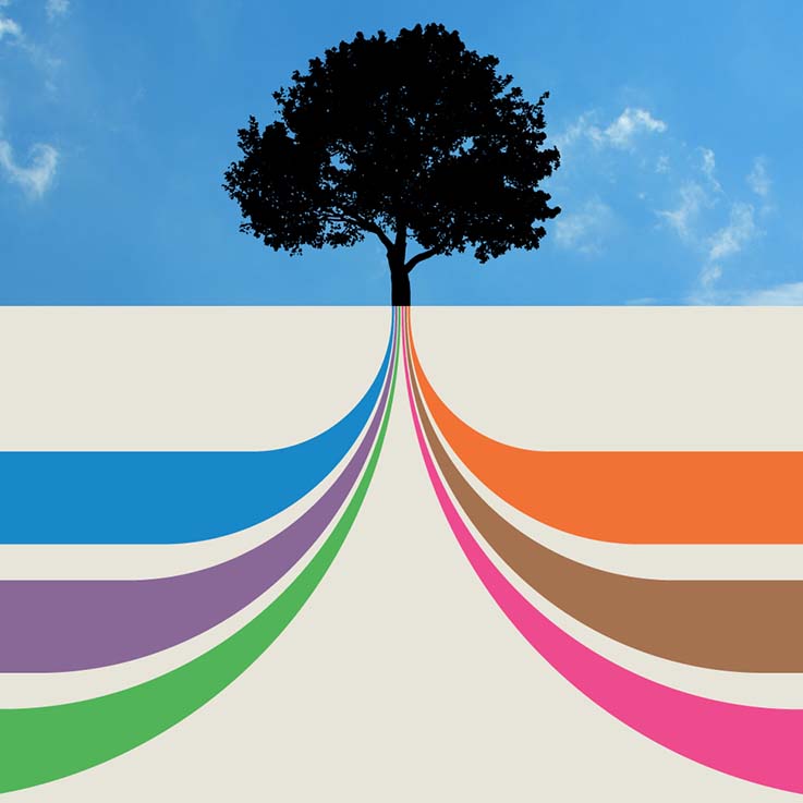 Learning From a Decade of Collaborative Philanthropy