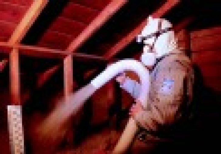 This Old Green House - Thumbnail