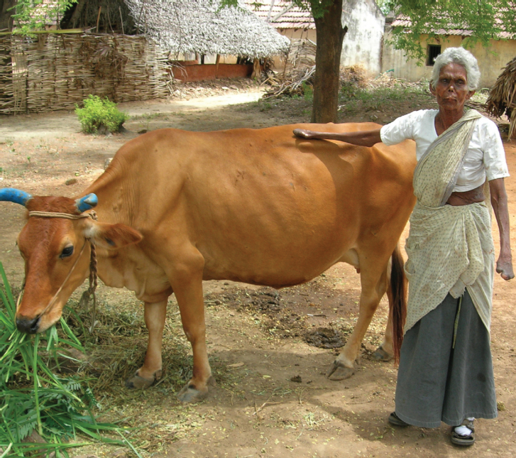 Financing Freedom - Thumbnail