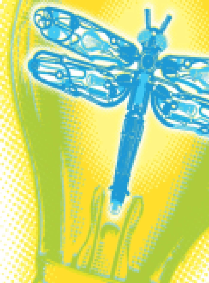 The Dragonfly Effect - Thumbnail