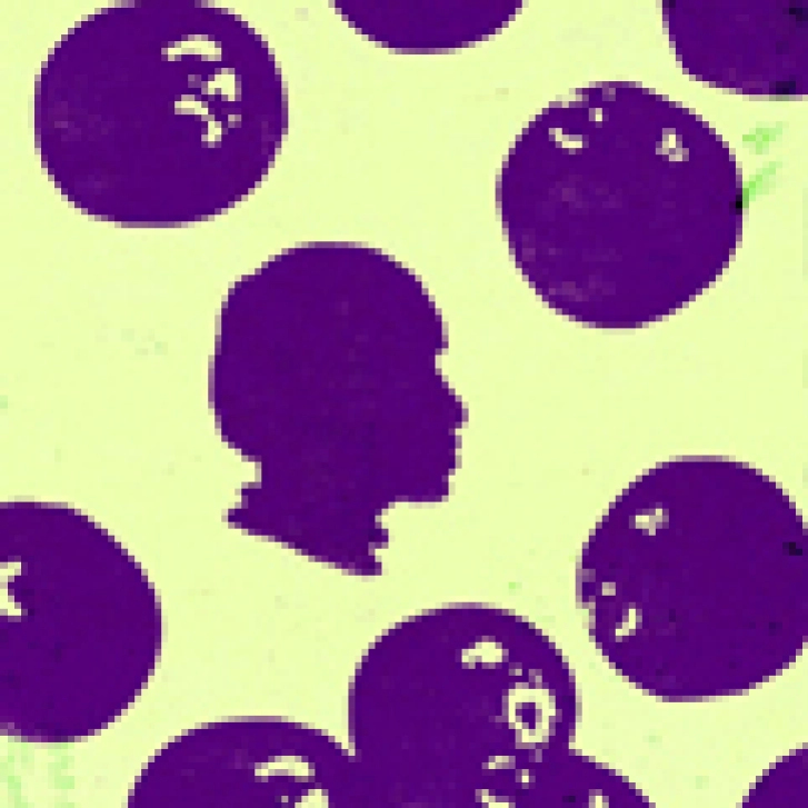 Beyond the Purple Berry - Thumbnail