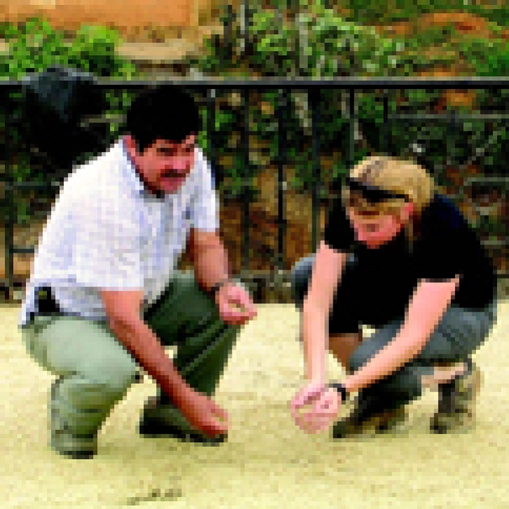 More than Beans - Thumbnail