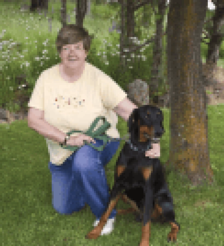 Employment Power - Thumbnail