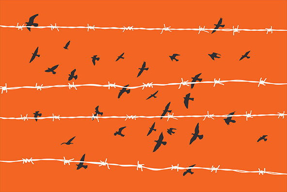 Silhouettes of birds flying over barbed wire on an orange background