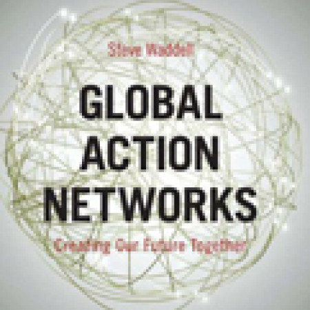 GLOBAL ACTION
NETWORKS:
Creating Our Future
Together
Steve Waddell