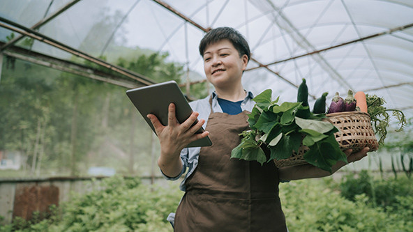 Chinese woman examining her organic farm growth with digital tablet