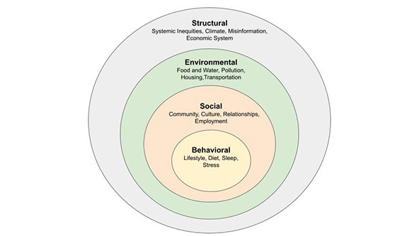 A chart of four concentric circles with text of behavioral, social, environmental, and structural drivers of health