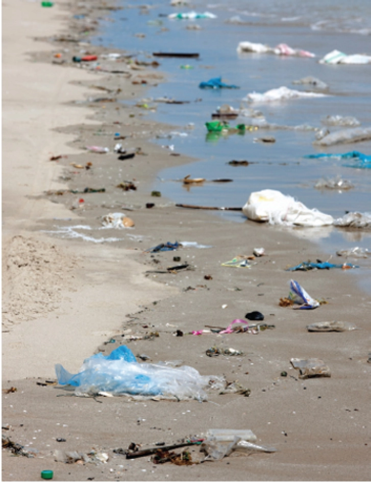 Trawling for Trash - Thumbnail