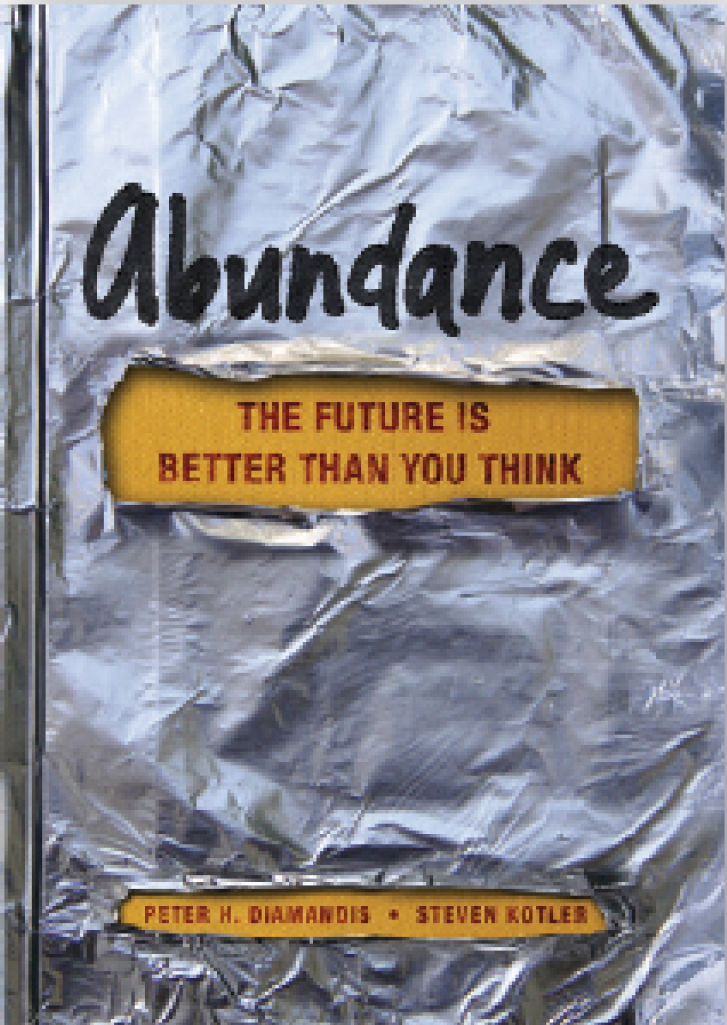 Abundance_book_cover