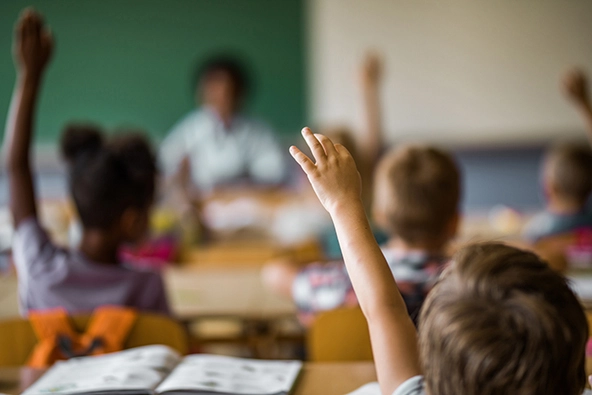 Back view of elementary students raising their hands in class