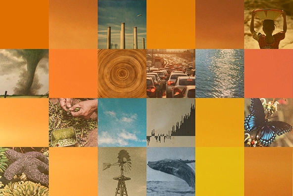 Collage of orange and red-hued squares mixed with nature and climate change images