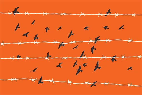 Silhouettes of birds flying over barbed wire on an orange background