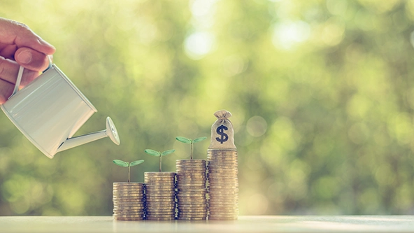 Water is poured from a watering can on a small tree and coins
