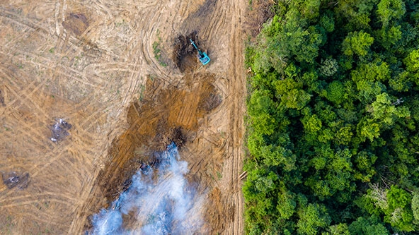 aerial view of deforestation