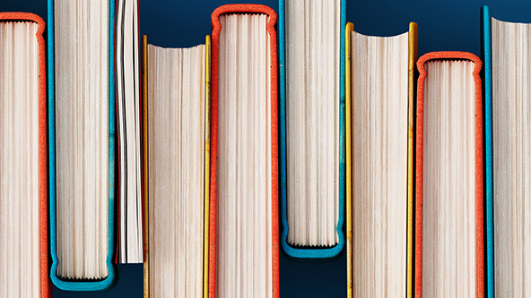 ovehead photo of row of books