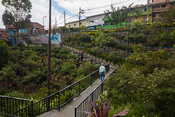 Person walks up stairs in a community garden