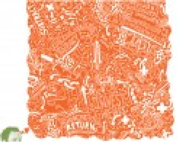 Calculated Impact - Thumbnail