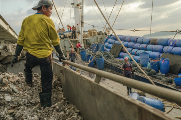 shrimp_fisherman_boat