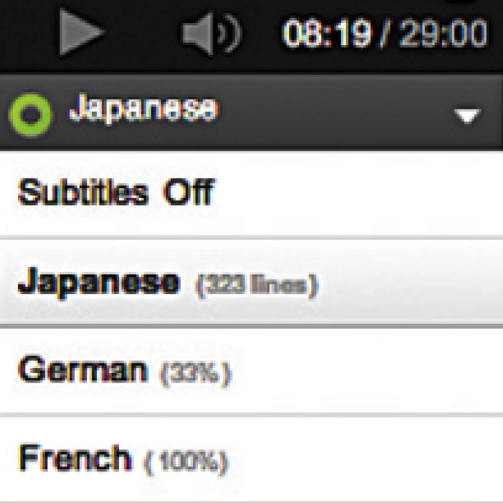 Chernobyl_disaster_translation