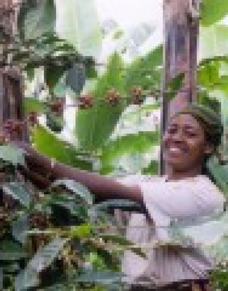 Faith in Fair Trade - Thumbnail