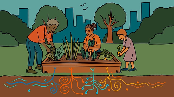 people tending a community garden with roots representing community data