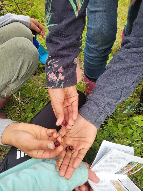 hands holding berries