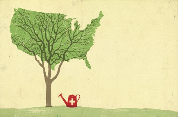 disease_nonprofit_networks