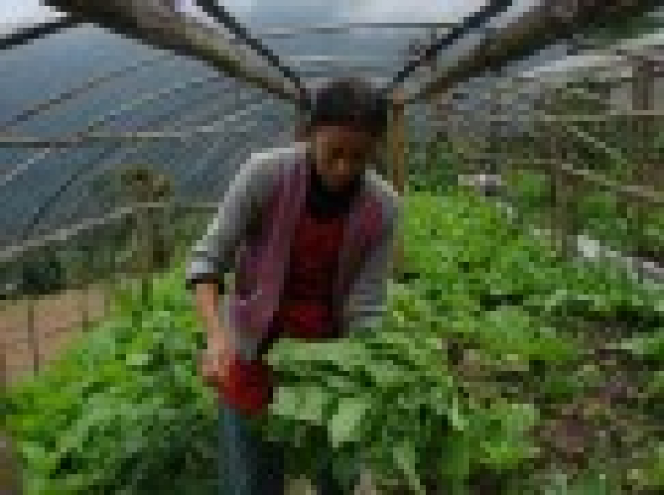 From the Ground Up - Thumbnail