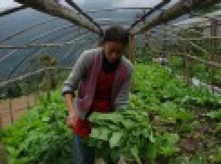 From the Ground Up - Thumbnail