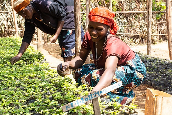 Woman kneeling next to seedlings.
