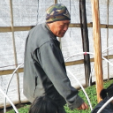 Moutain_Hazelnut_Venture_nursery_Bhutan