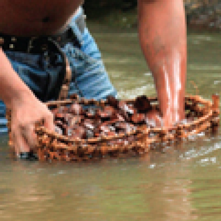 ekos_cosmetics_Brazil