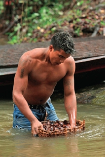 Ekos_cosmetics_taps_brazilian