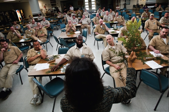 environmentalists_in_prison