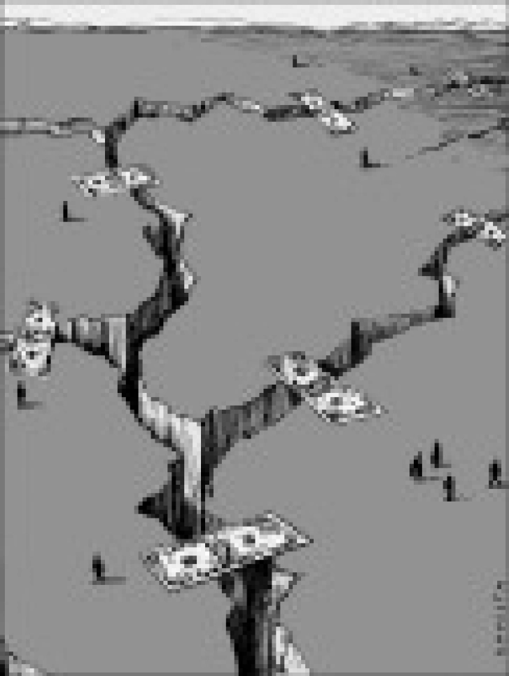 The Equity Capital Gap - Thumbnail