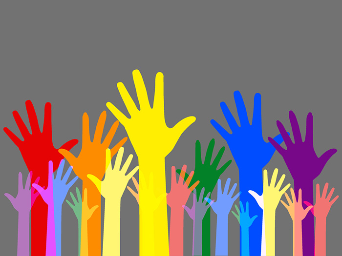 European Perspectives on the Emerging Social Economy