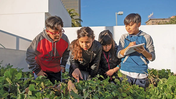 Four young students looking at plants. One is holding a notebook and taking note.