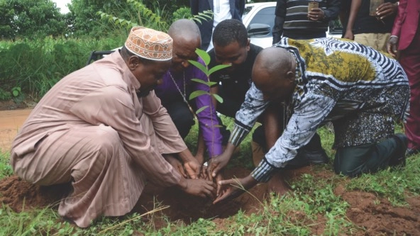 people planting a tree together
