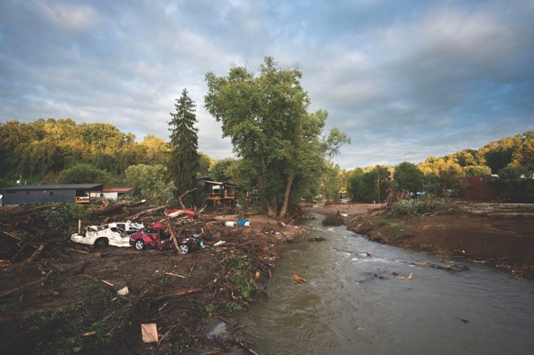 destroyed cars and foliage by a river bank