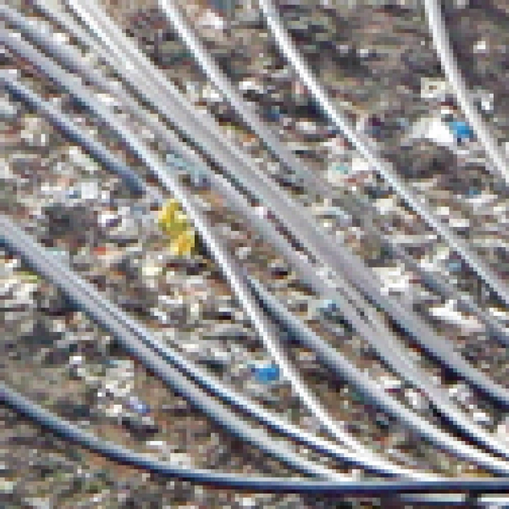 SSIR_Solutions_to_Mitigating_Climate_Change