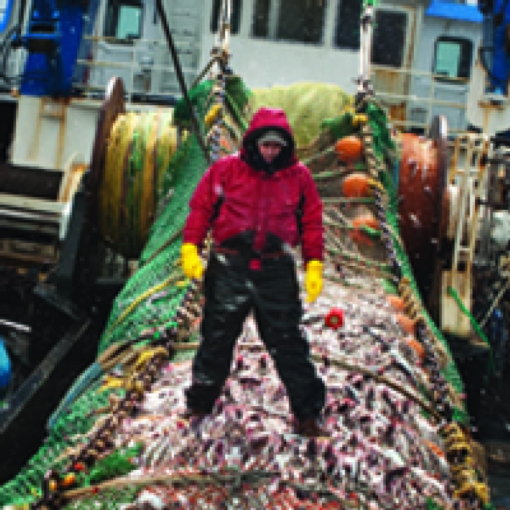 Economic_Forces_to_Conserve_Nature