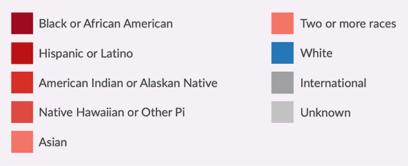 A color palette representing different races that perpetuates racial inequity.