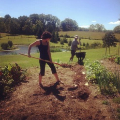 food_access_Buzzelli_time_bank_community