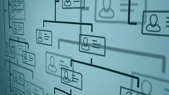 close-up view of an org chart