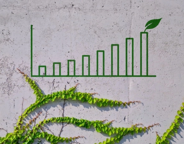 bar graph showing increase over time
