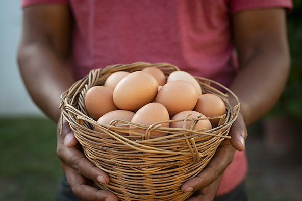 woman holding basket with eggs