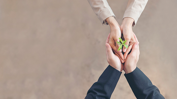 Hands of two people holding a growing green plant together