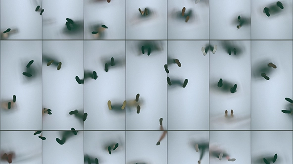 Silhouettes of people on a frosted glass floor, view from below.